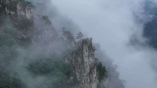 美丽中国河南老界岭自然风光