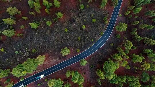 从空中俯瞰穿过树林的道路上的交通