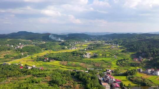 航拍山区水稻梯田合集