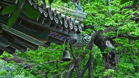 中国风古典园林屋檐与绿色植物树叶