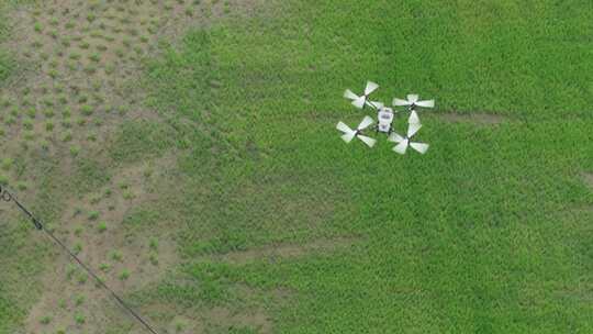 无人机现代农业喷洒农药