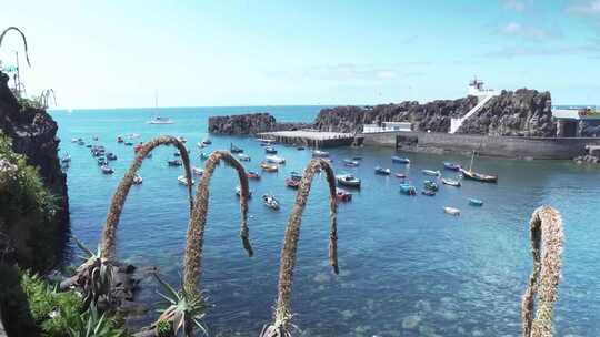 马德拉岛Câmara De Lobos