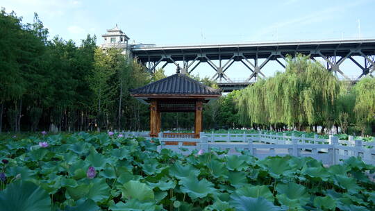 武汉汉阳江滩公园风景