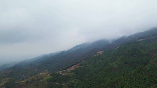 重庆山火后，北碚缙云山迎来降雨，云雾缭绕