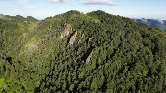 自然风光高山云海大山森林航拍