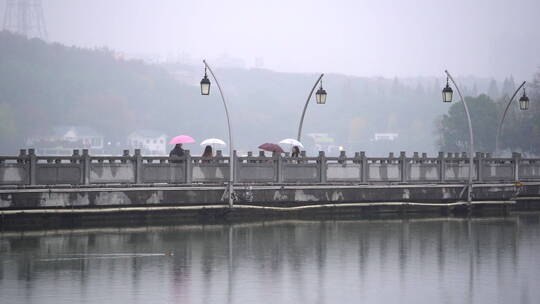 江南烟雨公园湖畔-游湖雨景视频素材模板下载