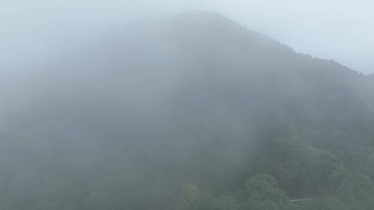 森林云海航拍山峰云雾缭绕雨后山林山脉风景