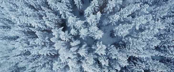 冰河雪林冬季雪山森林雪景