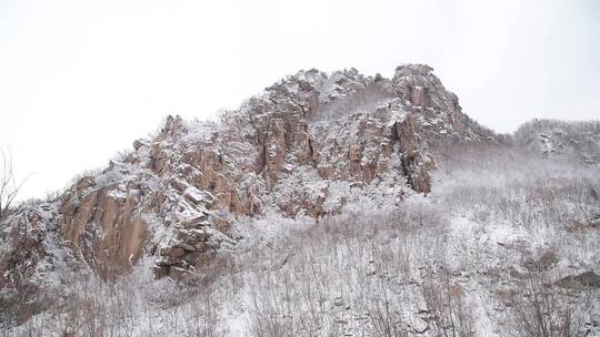 漫天飞雪大雪封山