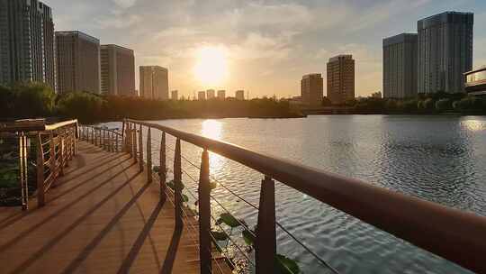 上海松江五龙湖公园景观步道