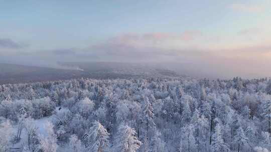 航拍东北林海雪原（雪岭雾凇）