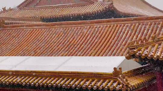 故宫宫殿大雪