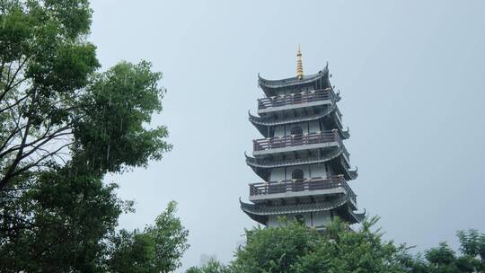 柳州文庙中式庭院古建筑雨景雨季大雨暴雨