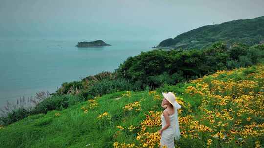 海边花海少女芦苇大海美景