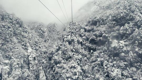 雪山 雾凇黄山 松树 山林 缆车