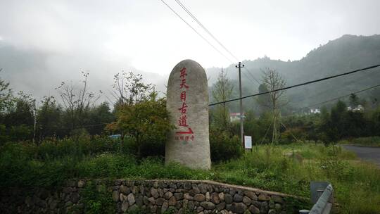 杭州临安东天目山峡谷