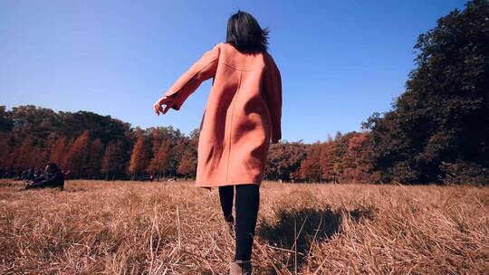 女孩在秋天枯黄的草地上行走4k视频素材