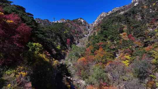 泰山对松山的秋色