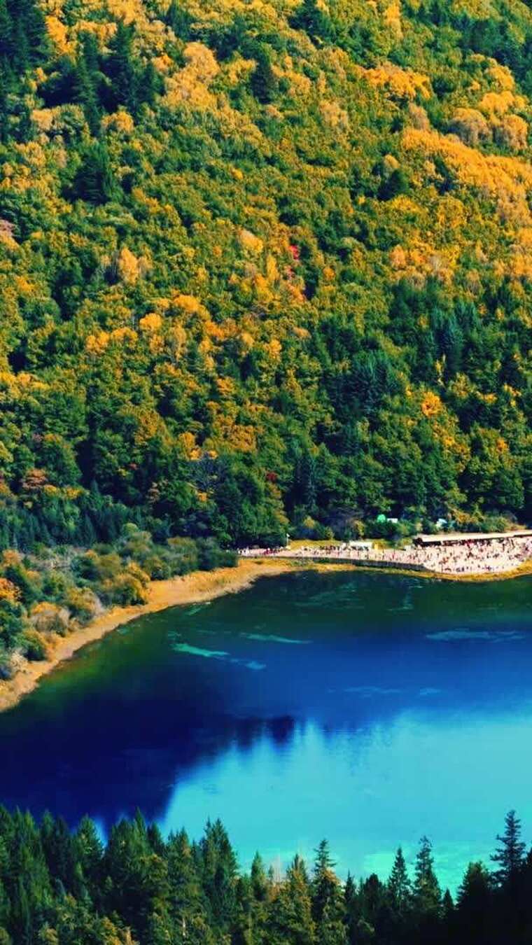 【合集】四川阿坝九寨沟秋色秋景航拍竖屏