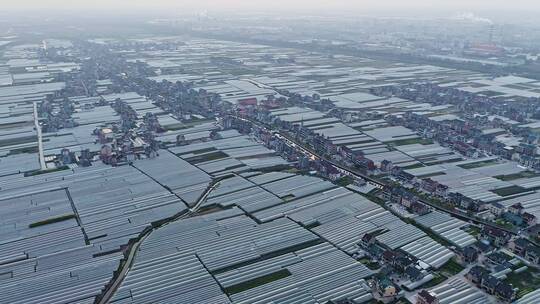 航拍大型农场田地自然风景视频素材模板下载