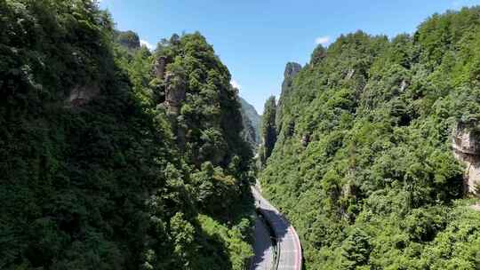 张家界 张家界景区 张家界延时