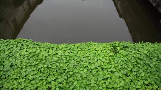 绍兴书圣故里墨池景点