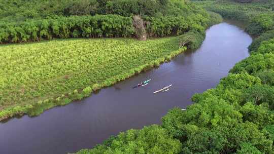 夏威夷河上皮划艇的鸟瞰图