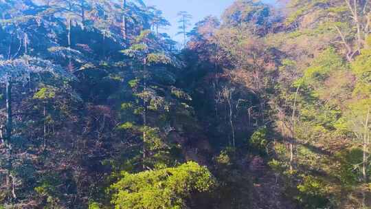 安徽黄山风景视频素材