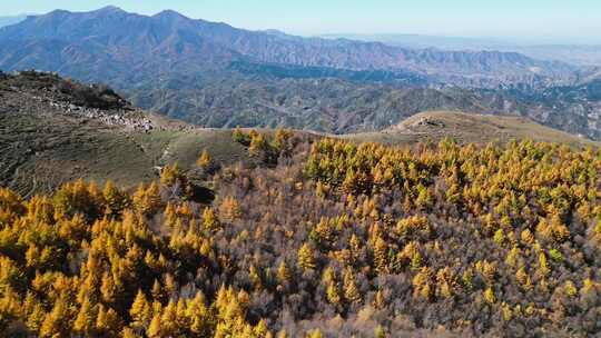 秋天山景 秋景 秋色 秋游