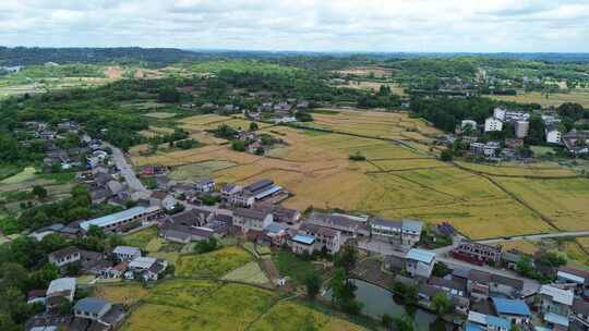 四川德阳罗江金山沃野千里