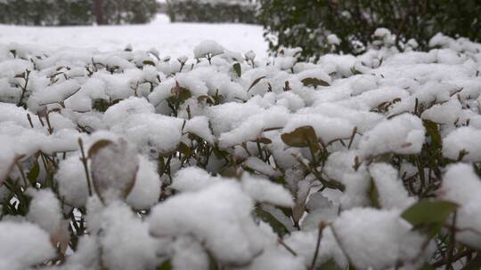 下雪积雪空镜