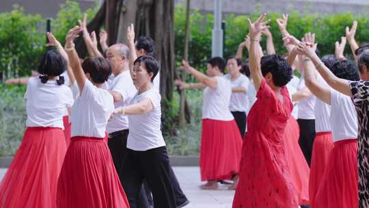 4K实拍广州荔湾湖公园 广州人文素材