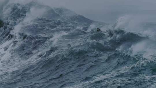 海面海浪翻滚 海豚曾浪