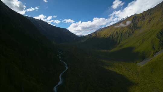 高原原始森林高山上的树林生态系统