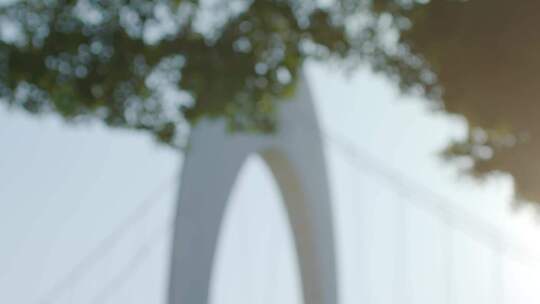 清晨美女晨跑地铁上班看书人物生活视频