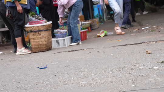 云南野生菌交易市场