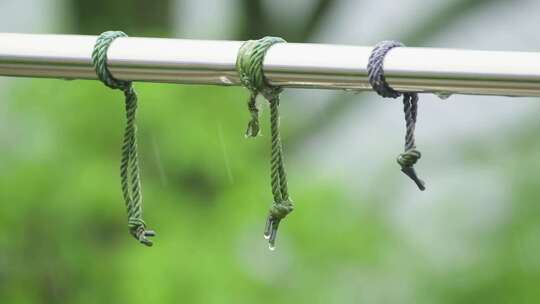 升格拍摄梅雨季节唯美雨景雨珠特写