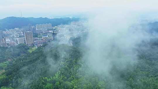 铜鼓县城