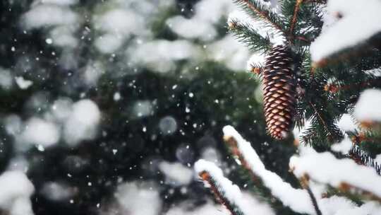 唯美冬季落雪小景视频素材模板下载