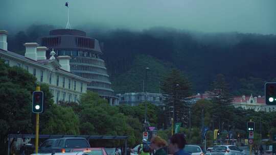 新西兰蜂巢议会大楼在森林前的阴天