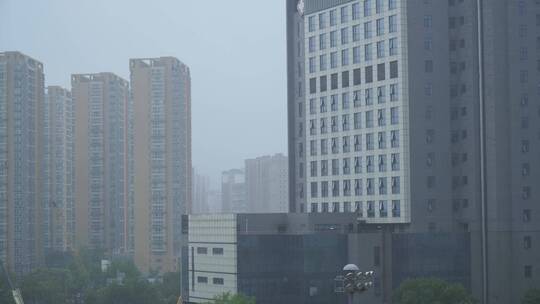 能见度阴天雾气中的城市楼房树木