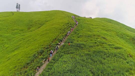 武功山高山草甸