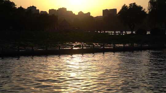 济南大明湖夏季荷花盛开，傍晚夕阳晚霞迷人