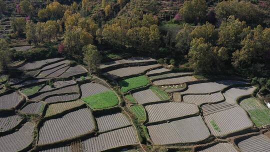 云南贵州广西梯田农田树林森林稻田田地