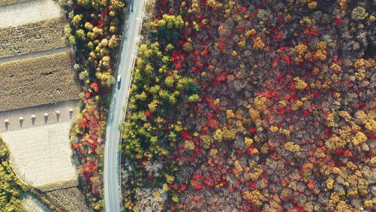 东北秋季山林公路五彩斑斓美丽景色航拍风光