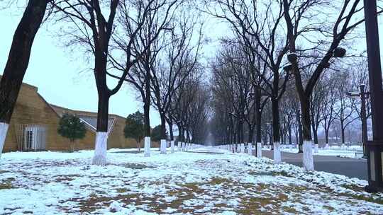 西安大明宫遗址公园大雪雪景