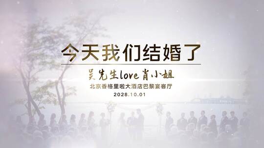 4K今天我们结婚了-婚礼VLOGAE视频素材教程下载