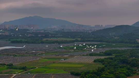 惠州惠东九龙峰美丽乡村