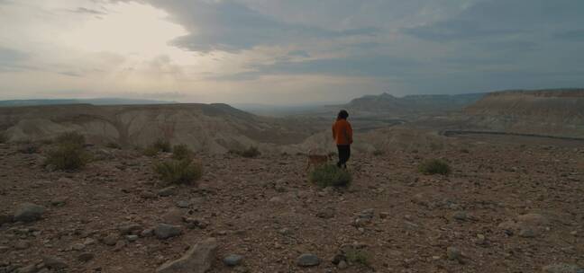 沙漠中男人和狗在步行