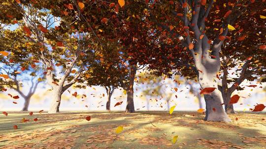 4K 秋天金色树叶缓慢飘落慢镜头